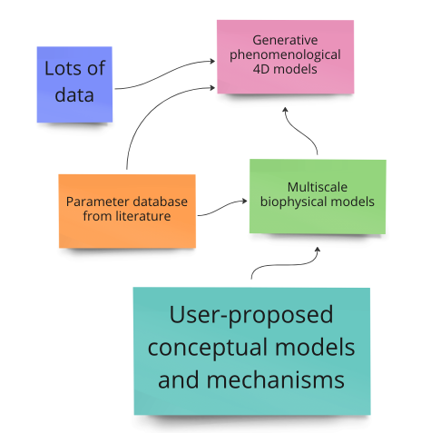 Quantitative model generation.png