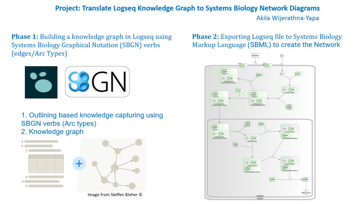 LogSeq to SBGN.jpg